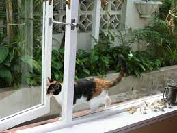 The Cat Door Alternative That Saves You