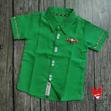 De ia pakai batik hijau didepan rumah. Jual Joy Shirt Kemeja Anak Hijau Variasi Batik Merah Putih Dan Kancing Putih Murah Mei 2021 Blibli
