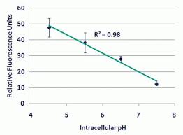 Intracellular Ph Calibration Buffer Kit