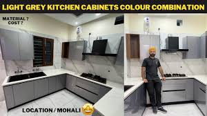 light grey kitchen cabinets colour