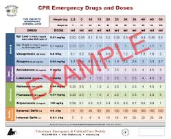 Cpr Emergency Drugs 22x27 Poster
