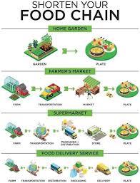 food supply chain infographic source