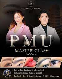 eyebrow embroidery course singapore