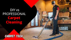 diy vs professional carpet cleaning