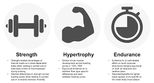 muscle strength hypertrophy