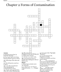 chapter 2 crossword puzzle wordmint