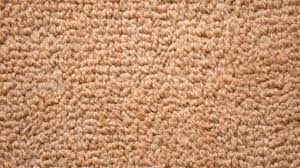 berber carpet pros and cons forbes home