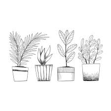 Plant Drawing Vectors Ilrations