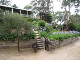 Terraced Garden In Victoria Australia