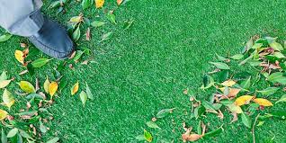 Check out the neograss range of. Artificial Grass Maintenance Guide Clean Debris And Prevent Weeds