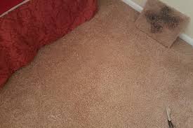 carpet burns maryland carpet repair
