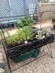 Garden Mini Greenhouse Review