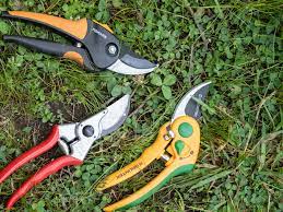 9 best pruning shears of 2023 reviewed