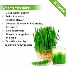 nutriorg wheatgr juice 500 ml best