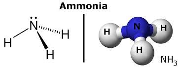 bleach and ammonia what happens when