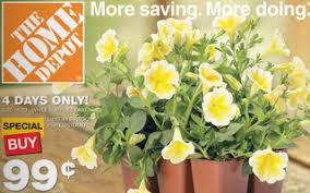 › home depot flowers sale. 6 Pack Annuals 0 99 At Home Depot The Coupon Project