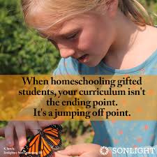 homeing gifted students 9 tips