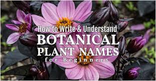 How To Write Botanical Plant Names