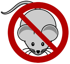tips to keep pesky mice out of your rv