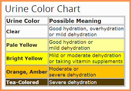 Image Result For Urine Color Chart Natural Electrolytes