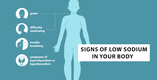 signs of low sodium in your body