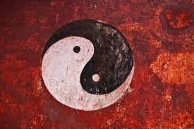 what does the yin yang symbol mean