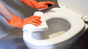 Removing Stubborn Toilet Seat Stains
