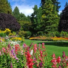 the butchart gardens victoria canada