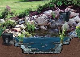How To Choose Pond Filters Pond Market