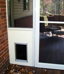 Porch Screen Door With Dog Door