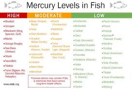 Mercury Levels In Fish Mercury In Fish Fish You Can Eat