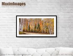 art print of birch trees fall scenery