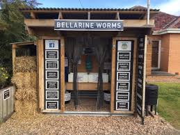 bellarine worms bait burley