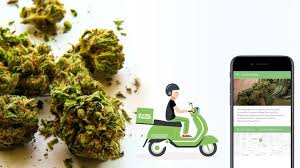 The delivery boys will have their own app, they would get instant notification, as the store owner approve the customer. How Much It Will Cost To Make A Cannabis Delivery App Like Eaze