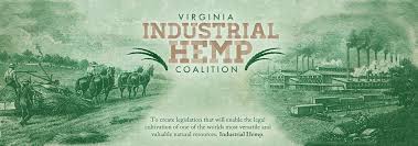 Image result for images of industrial hemp