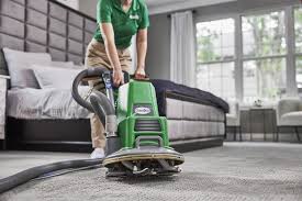 carpet cleaning st clair ss mi
