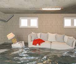 Basement Flood Damage