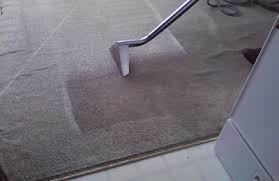 m g carpet cleaning specialist o