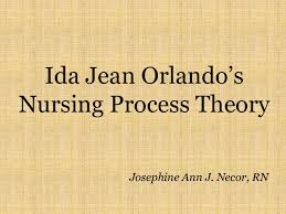 Ida Jean Orlando Nursing Theory