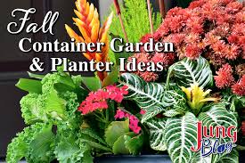 Fall Container Garden Planter Ideas