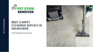 ppt best carpet cleaning service in