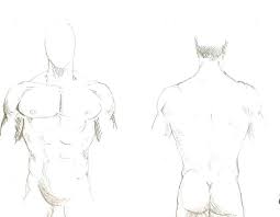 Outline Of The Body Body Sketch Outline Body Sketch Art
