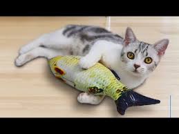 Check out our fish cat toy selection for the very best in unique or custom, handmade pieces from our cat toys shops. Cat Kicker Fish Toy 2019 Funny And Cute Youtube