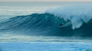 Surfline Com Global Surf Reports Surf Forecasts Live