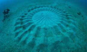 Image result for turing pufferfish