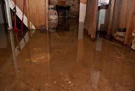 Flooded Basement And A Bit Of Larceny