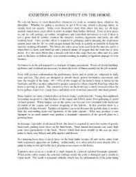 Essay  A War Against Terrorism in Pakistan   Study Online Point Conclusion On Terrorism Essay