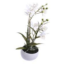 Създаден от new wish floral studio, този изкуствени цветя в саксия 25 см. Izkustveno Cvete V Saksiya Mebelen Salon Dantes Mebeli Plovdiv