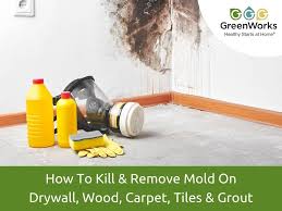 how to remove mold on drywall wood