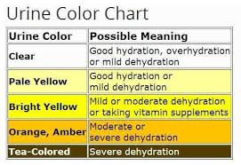 Dehydration And Pee Color Steemit